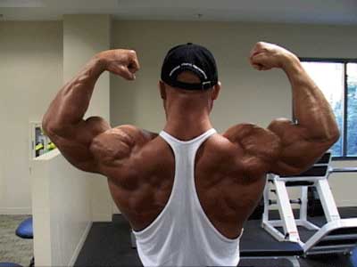 Boldenone