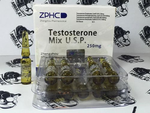 Legal Testosterone Propionate: ScoobySnack Test P Busy people wanting healthy meal
