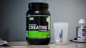 ON Creatine powder