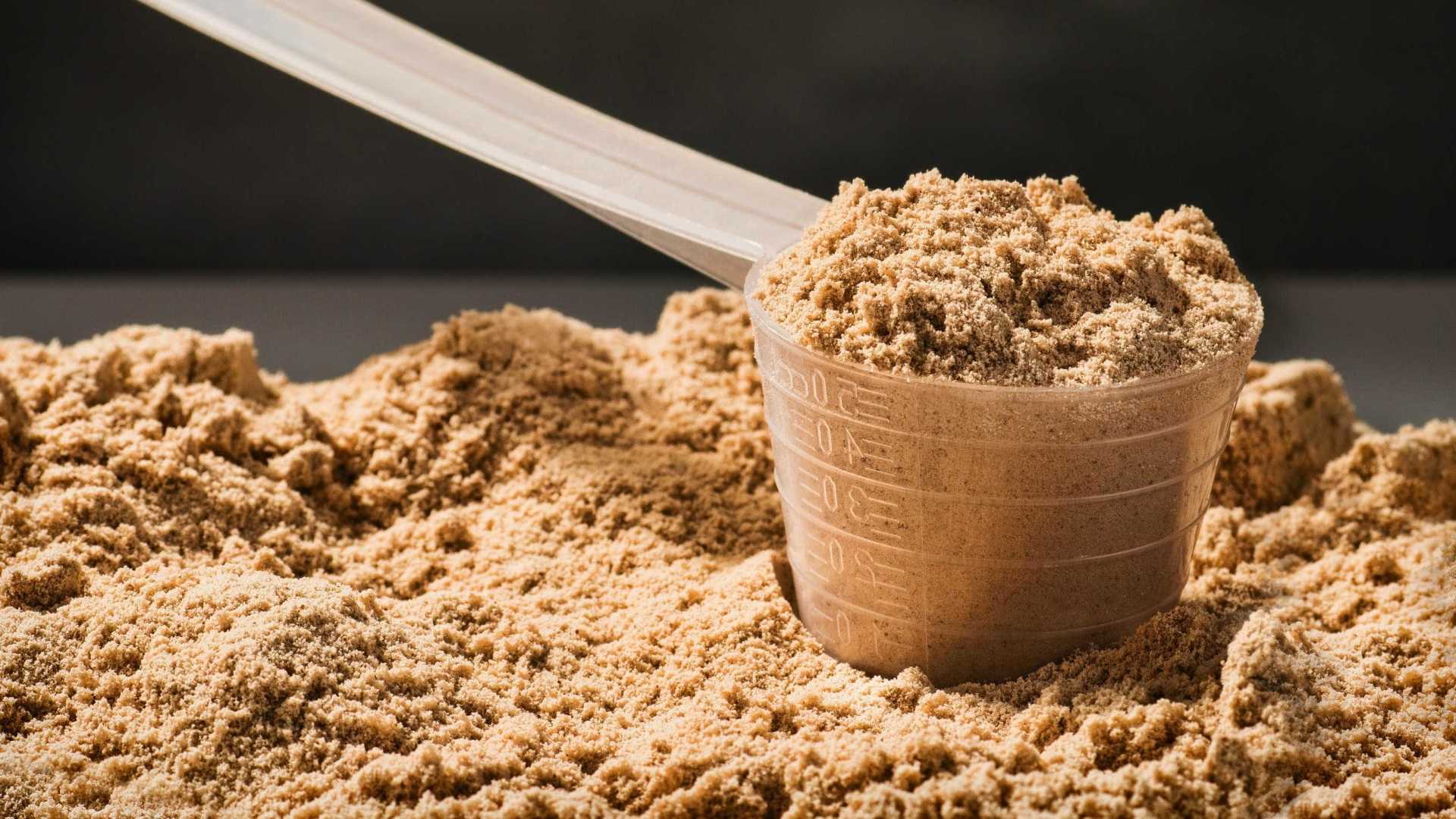 Protein powder