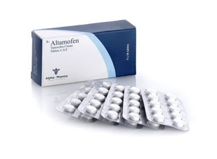 Altamofen 10